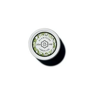Bálsamo de Lábios 12ml Protector Alantoíne: Benamôr